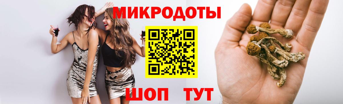 Дюртюли  Псилоцибиновые грибы Psilocybine cubensis  Вход с VPN  Псилоцибиновые грибы Psilocybine cubensis 